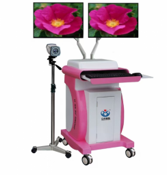 數(shù)碼電子陰道鏡  YGS-8806